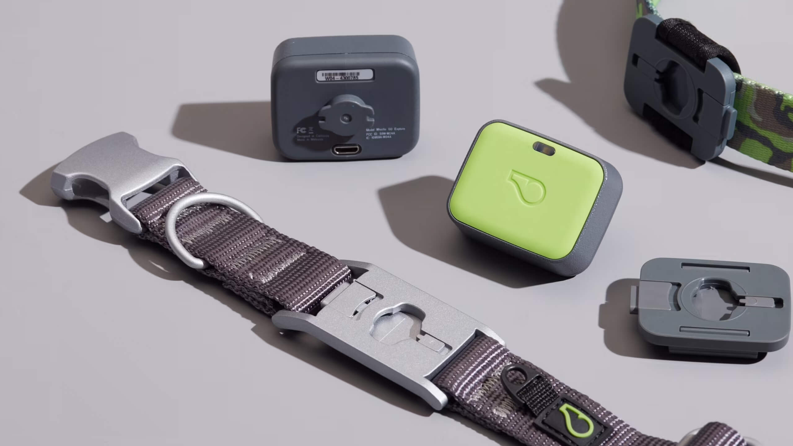 Pet Insight challenge screen